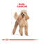 Royal Canin Adult Poodle ração para cães, , large Indicador imagem número 4